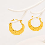 Load image into Gallery viewer, Aurum Twist Hoop Earrings