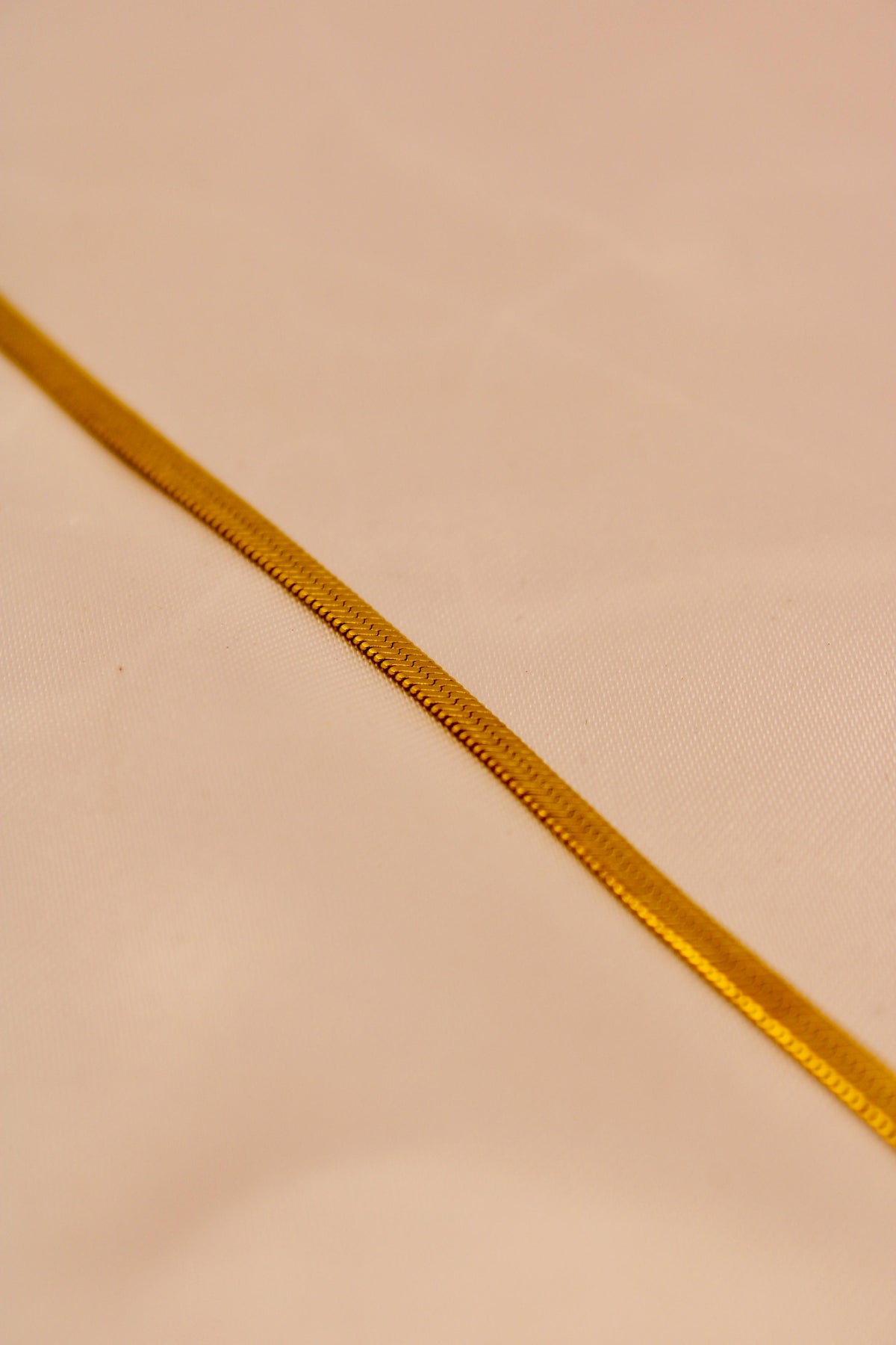 Snake chain anklet